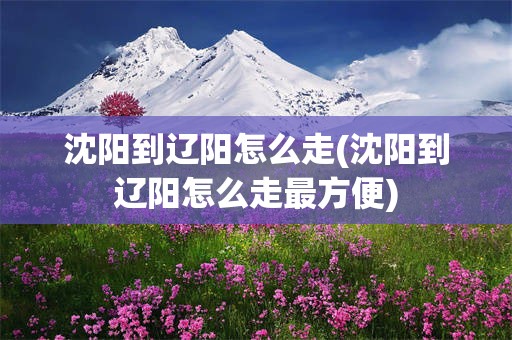 沈阳到辽阳怎么走(沈阳到辽阳怎么走最方便)
