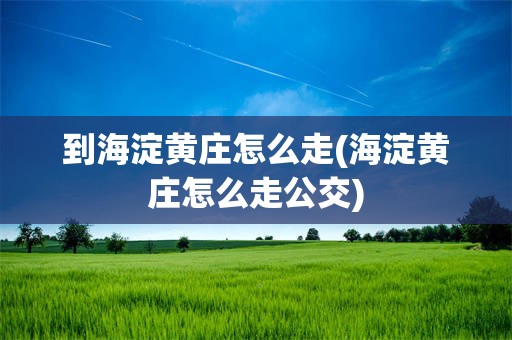 到海淀黄庄怎么走(海淀黄庄怎么走公交)