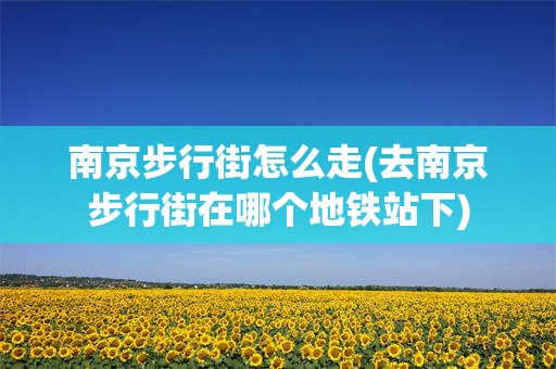 南京步行街怎么走(去南京步行街在哪个地铁站下)