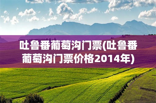 吐鲁番葡萄沟门票(吐鲁番葡萄沟门票价格2014年)
