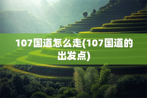 107国道怎么走(107国道的出发点)