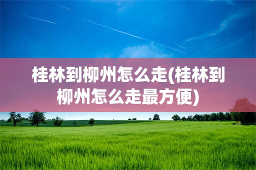 桂林到柳州怎么走(桂林到柳州怎么走最方便)