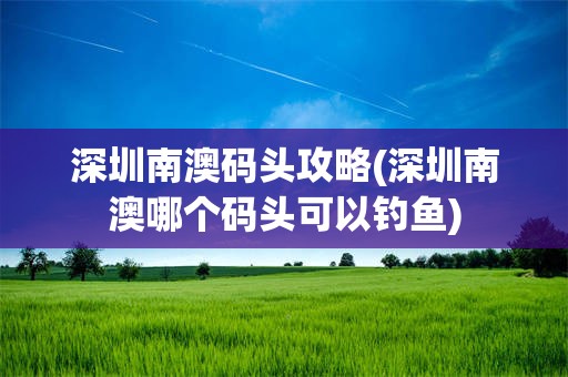 深圳南澳码头攻略(深圳南澳哪个码头可以钓鱼)