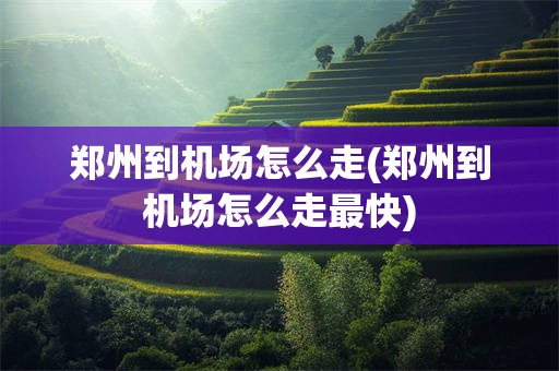 郑州到机场怎么走(郑州到机场怎么走最快)