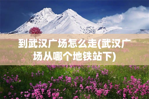到武汉广场怎么走(武汉广场从哪个地铁站下)