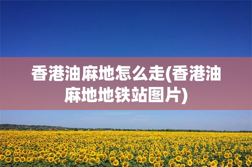 香港油麻地怎么走(香港油麻地地铁站图片)