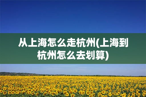 从上海怎么走杭州(上海到杭州怎么去划算)