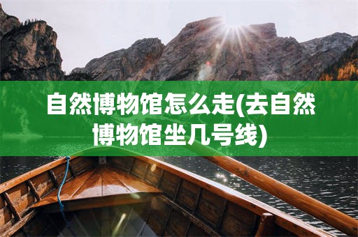 自然博物馆怎么走(去自然博物馆坐几号线)