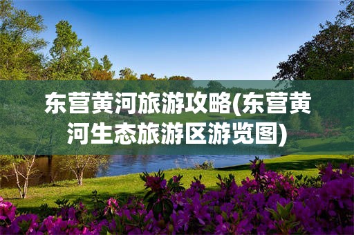 东营黄河旅游攻略(东营黄河生态旅游区游览图)