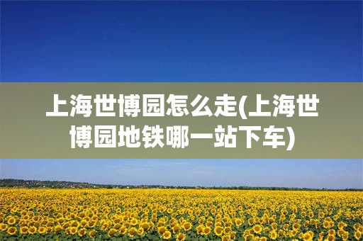上海世博园怎么走(上海世博园地铁哪一站下车)