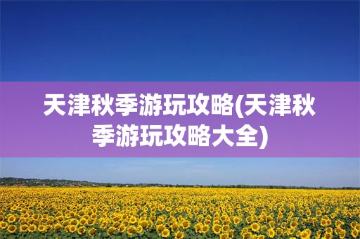 天津秋季游玩攻略(天津秋季游玩攻略大全)