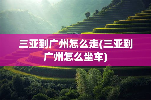 三亚到广州怎么走(三亚到广州怎么坐车)