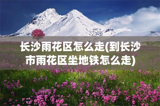 长沙雨花区怎么走(到长沙市雨花区坐地铁怎么走)