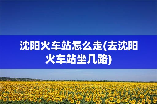 沈阳火车站怎么走(去沈阳火车站坐几路)