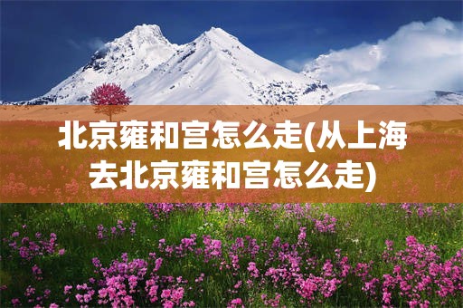 北京雍和宫怎么走(从上海去北京雍和宫怎么走)