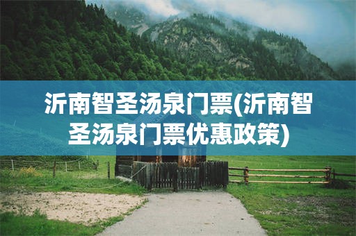 沂南智圣汤泉门票(沂南智圣汤泉门票优惠政策)