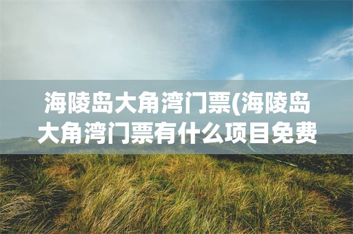 海陵岛大角湾门票(海陵岛大角湾门票有什么项目免费)