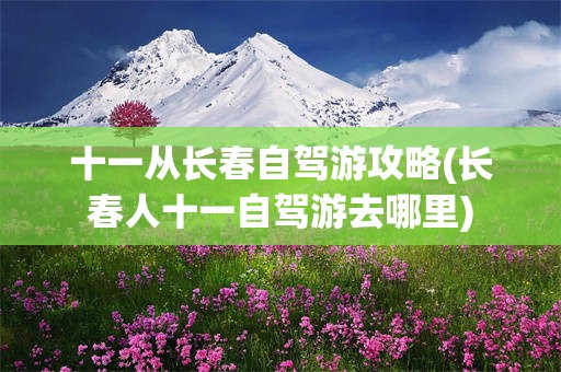 十一从长春自驾游攻略(长春人十一自驾游去哪里)