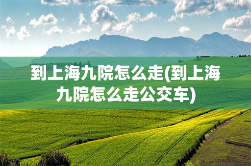 到上海九院怎么走(到上海九院怎么走公交车)