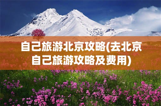 自己旅游北京攻略(去北京自己旅游攻略及费用)