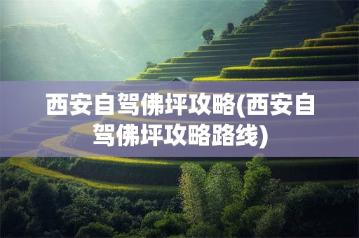 西安自驾佛坪攻略(西安自驾佛坪攻略路线)