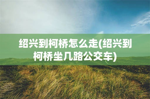 绍兴到柯桥怎么走(绍兴到柯桥坐几路公交车)