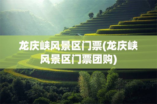 龙庆峡风景区门票(龙庆峡风景区门票团购)