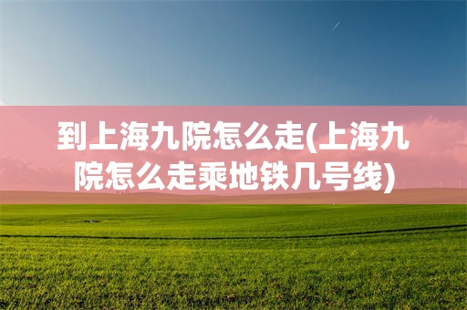 到上海九院怎么走(上海九院怎么走乘地铁几号线)