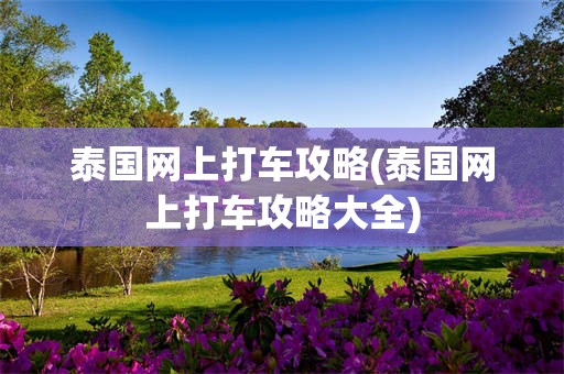 泰国网上打车攻略(泰国网上打车攻略大全)