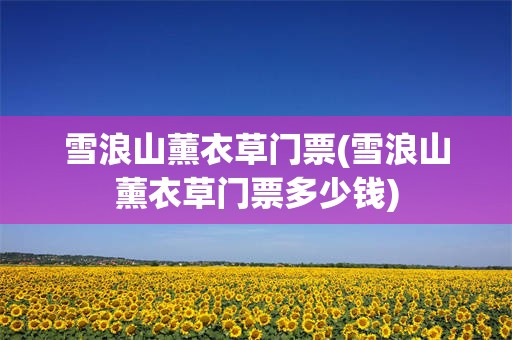 雪浪山薰衣草门票(雪浪山薰衣草门票多少钱)