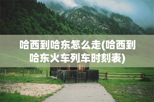 哈西到哈东怎么走(哈西到哈东火车列车时刻表)