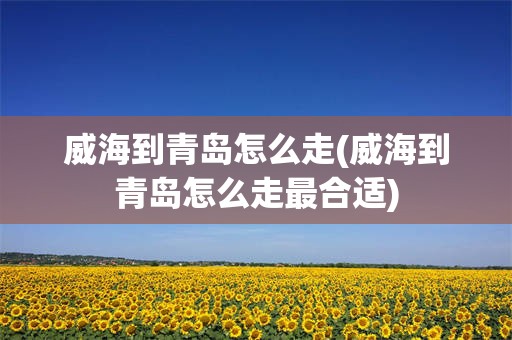 威海到青岛怎么走(威海到青岛怎么走最合适)