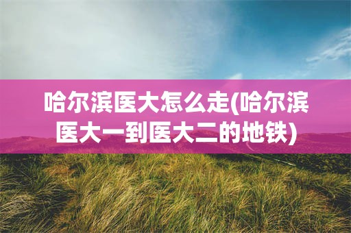 哈尔滨医大怎么走(哈尔滨医大一到医大二的地铁)