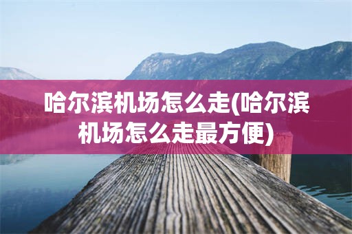 哈尔滨机场怎么走(哈尔滨机场怎么走最方便)