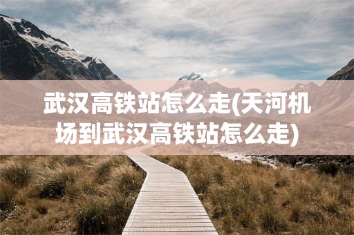 武汉高铁站怎么走(天河机场到武汉高铁站怎么走)