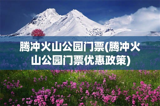 腾冲火山公园门票(腾冲火山公园门票优惠政策)