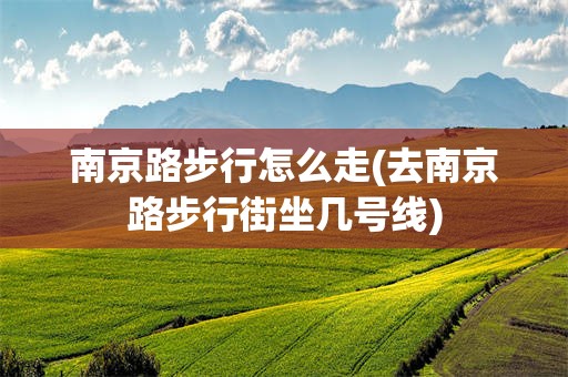 南京路步行怎么走(去南京路步行街坐几号线)