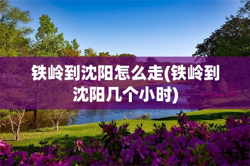 铁岭到沈阳怎么走(铁岭到沈阳几个小时)