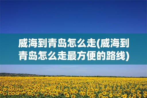威海到青岛怎么走(威海到青岛怎么走最方便的路线)
