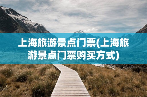 上海旅游景点门票(上海旅游景点门票购买方式)