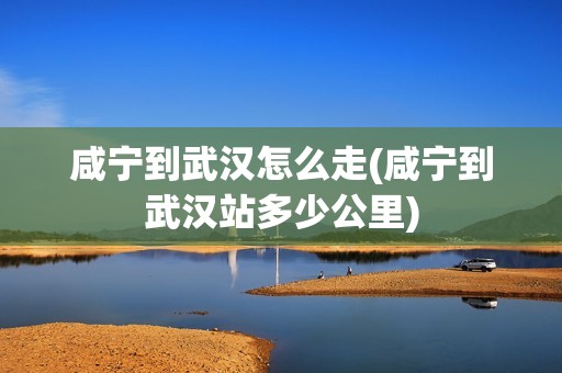 咸宁到武汉怎么走(咸宁到武汉站多少公里)