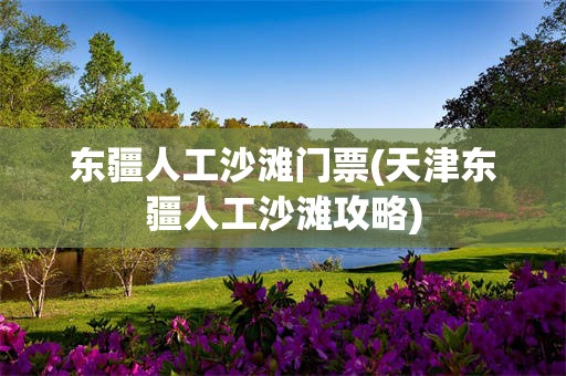 东疆人工沙滩门票(天津东疆人工沙滩攻略)