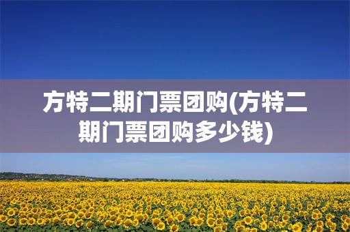 方特二期门票团购(方特二期门票团购多少钱)