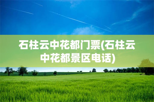 石柱云中花都门票(石柱云中花都景区电话)