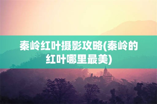 秦岭红叶摄影攻略(秦岭的红叶哪里最美)