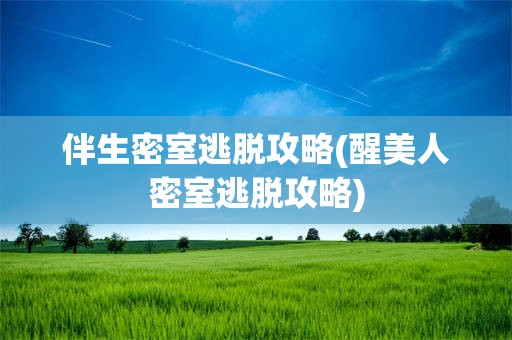 伴生密室逃脱攻略(醒美人密室逃脱攻略)