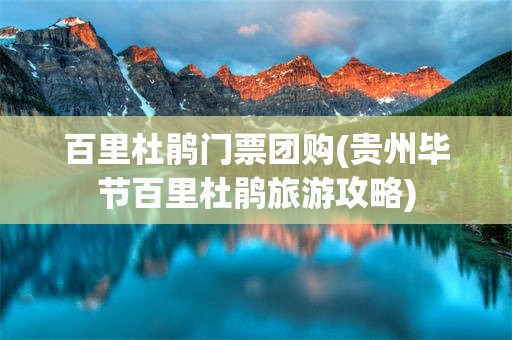 百里杜鹃门票团购(贵州毕节百里杜鹃旅游攻略)