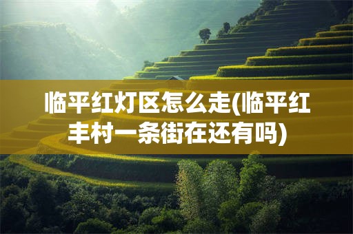 临平红灯区怎么走(临平红丰村一条街在还有吗)
