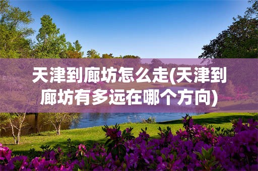 天津到廊坊怎么走(天津到廊坊有多远在哪个方向)