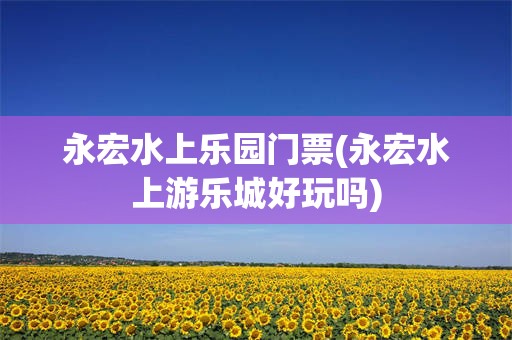 永宏水上乐园门票(永宏水上游乐城好玩吗)